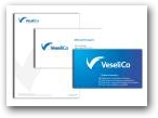 Identit&eacute; visuelle - Veselico &raquo; Click to zoom ->